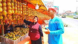 Si Botak Membantu Jualan Markisa | JEJAK SI GUNDUL (27/08/26) P3