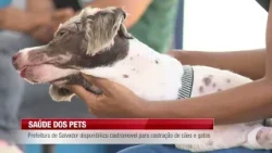 SALVADOR CITY HALL PROVIDES MOBILE UNIT FOR DOG AND CAT SPAY/NEUTER - 10/13/2026