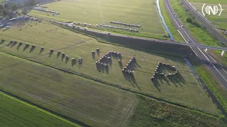 Nunspeetse boeren laten van zich horen in Kamperveen: ‘De nood is hoog’