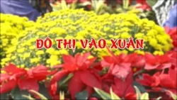 Đô thị vào xuân