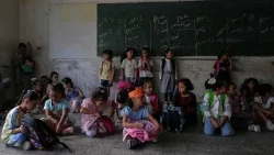 More than 20,000 students killed in Gaza and the occupied West Bank since October 7