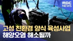 고성 친환경 양식 육성사업 해양오염 해소될까 (2024.04.25/뉴스데스크/MBC경남)