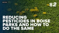 Сокращение использования пестицидов в масштабах города до вашего собственного приусадебного участка.