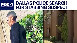 Dallas police search for stabbing suspect after OIS