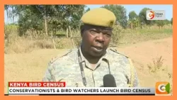 Conservationists & bird watchers launch bird census