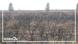 Some evacuations lowered for Kaiser Canyon Fire in Okanogan County, Level 3 (Go Now!) remain