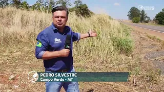 Heat spots surge in Mato Grosso, raising alarms in the countryside | Patrulheiro Agro ep. 256