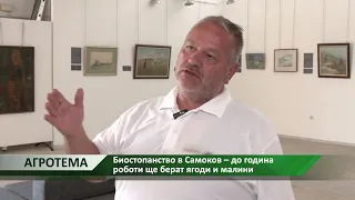 Агротема: Биостопанство в Самоков – до година роботи ще берат ягоди и малини