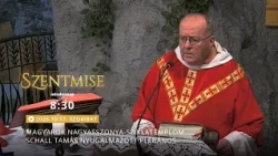 Szentmise a Sziklatemplomból – Schall Tamás – 2026.10.17.