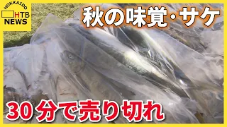 北海道の秋の味覚・サケのイベント　今年は不漁で90匹しか用意できず…30分で売り切れ　石狩市厚田
