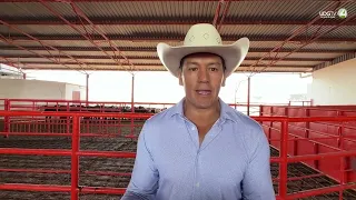 US reopens another cattle export point from Mexico