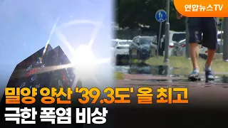 밀양 양산 '39.3도' 올 최고…극한 폭염 비상 / 연합뉴스TV (YonhapnewsTV)