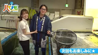 ハマナビ　次回予告（7月25日放送）