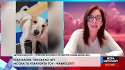 Γροθιά στο στομάχι: Εγκατέλειψε τον σκύλο του σε στάση λεωφορείου στη Λεμεσό και... έφυγε Γροθιά στο στομάχι: Εγκατέλειψε τον σκύλο του σε στάση λεωφορείου στη Λεμεσό και... έφυγε