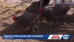 Жители Лихай-Эйкрса оспаривают ограничения на разведение кур, введенные округом.