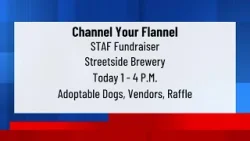 Save the Animals Foundation, Streetside Brewery host pet adoption event March 21 Save the Animals Foundation, Streetside Brewery host pet adoption event March 21