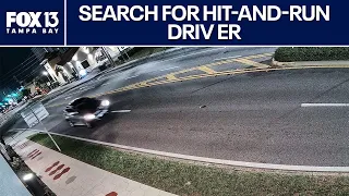 St. Pete hit-and-run leaves motorcyclist dead