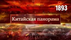 Диалог с общественностью, поздравление Си Цзиньпина, АТЭС-2026, бум путешествий, шаг к Луне – (1893)