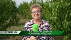 Агротема: Ще се свие ли драстично българското овощарство?