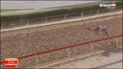 شارة الديوان(7) - الوثبة | 19-01-2026