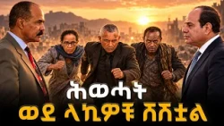 ሕወሓት ወደ ላኪዎቹ ሸሽቷል |  ENDF | TPLF | ERITREA #የሀገርጉዳይ