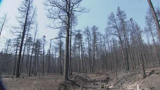 Devastation from Aspen Acres Fire in Beulah revealed