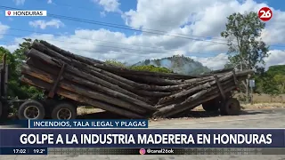 🔥 WILDFIRE NORTH OF QUITO | The fight against the fire continues