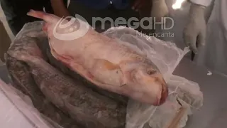CONTROLAN LA VENTA DE PESCADO EN LOS MERCADOS