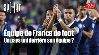 French National Football Team: A Country United Behind Its Team?