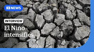 Supersized El Niño may be strongest ever recorded: UN climate agency | ABC NEWS