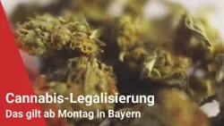 Cannabis-Legalisierung: Das gilt ab Montag