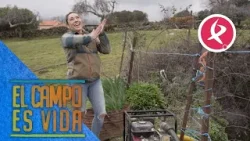 ¡El motor del agua ha vuelto a funcionar! | El campo es vida ¡El motor del agua ha vuelto a funcionar! | El campo es vida