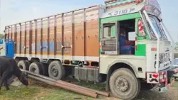 Samba Police Foiled Major B_ovine s_muggling attempt Samba Police Foiled Major B_ovine s_muggling attempt