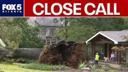 Lucky couple avoids close call with massive fallen oak tree | FOX 5 News