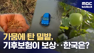 기후재난 일상화‥'기후보험' 어디까지 왔나 (2026.08.23/뉴스데스크/MBC)