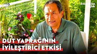 ATTENTION: Those Suffering from Eczema! | Healthy Homes with Feridun Kunak