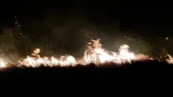 Zjarr i fuqishëm në Orikum, flakët favorizohen nga era e fortë