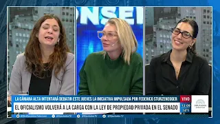 DTV Consenso Melina Fleiderman - Program 08/04/2026