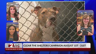 2 NEWS NOW - Clear the Shelters campaign runs until Aug. 31