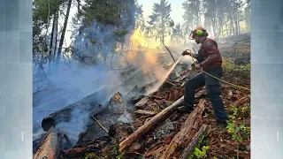 Wildfire smoke blankets much of Vancouver Island but health risks ‘low’