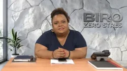 Zero Stres - Diskision Voizinn