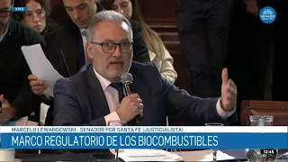 SENATOR MARCELO LEWANDOWSKI 2 - JOINT COMMITTEE ON MINING, ENERGY AND BUDGET 09/03/26