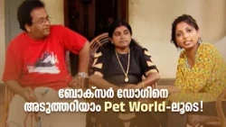 ബോക്സർ ഡോഗിനെ അടുത്തറിയാം Pet World-ലൂടെ!Pet World| Amrita TV Archives