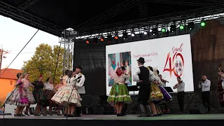 Bajai Kul-túra 2026.08.25.