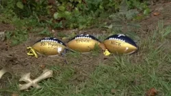 'We're just going day by day': Dad honors son a year after fatal E.E. Smith crash