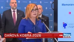 Vláda zřídí „Kobru 26“ proti zaměstnávání načerno. Schillerová čeká výnos desítek miliard