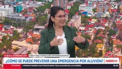 Geographer on San Carlos de Apoquindo mudslide: "It's not a sudden event and it can be foreseen"