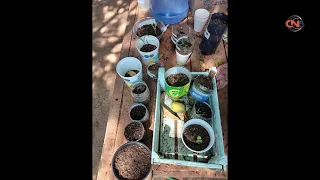 Eco-Gardens Summer 2026 Courses Conclude in Atoyac