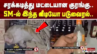 பாவம் குரங்குக்கு என்ன கவலையோ.. சரக்கடித்து மட்டையான காட்சி.. SM ல் இந்த வீடியோ படுவைரல்..