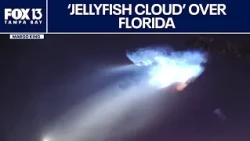 SpaceX 'jellyfish cloud': Why did it happen?
